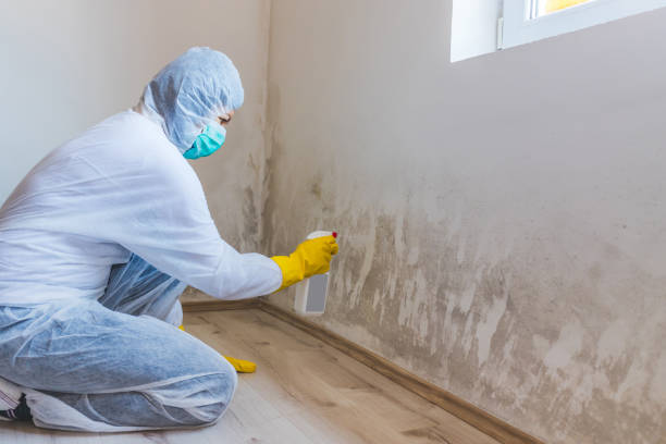 Licensed Mold Testing service in New Berlin, PA - WQB Mold Removal