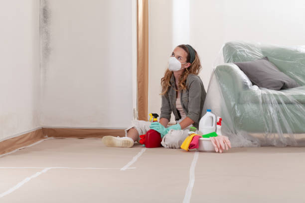 Reliable Mold Testing contractor in New Berlin, PA by WQB Mold Removal